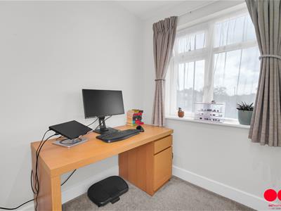 Picture 26